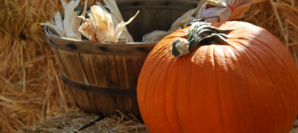 Pumpkins drains